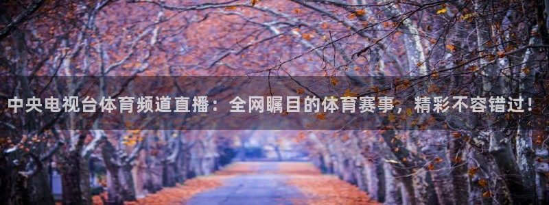 中央电视台体育频道直播：全网瞩目的体育赛事，精彩不容错过！