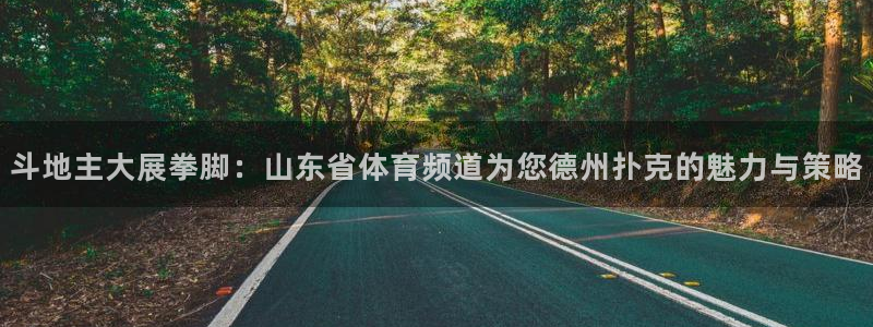 斗地主大展拳脚：山东省体育频道为您德州扑克的魅力与策略